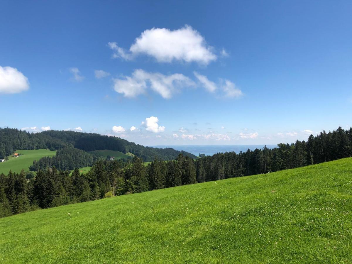 Hirschen Wald - Gasthaus & Baeckerei Kültér fotó