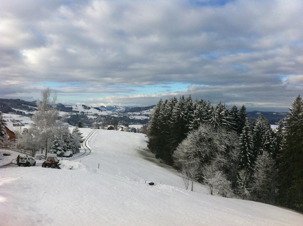 Hirschen Wald - Gasthaus & Baeckerei Kültér fotó